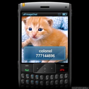 colonel