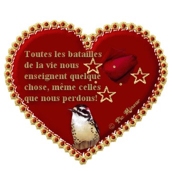 la vie